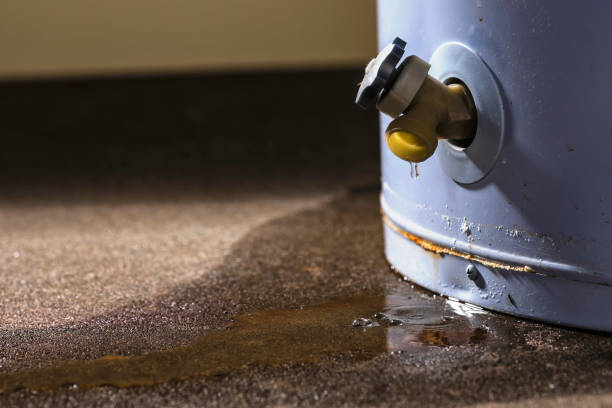 Best 24/7 water damage repair  in Ballwin, MO