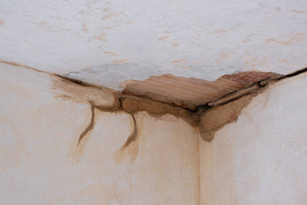 Best Water damage cleanup near me  in Ballwin, MO