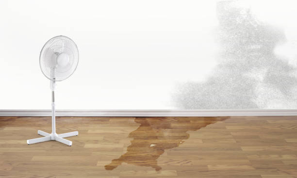 Best Fire Damage Restoration  in Ballwin, MO